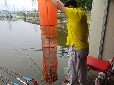 만수위의  거청낚시터 가족낚시터 붕어조황  6월  22