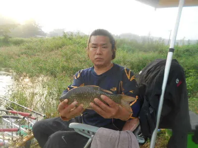 [당진 가교리지  조황화보..]