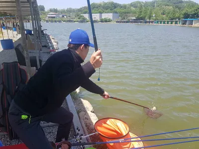 수위변동  없는  낚시터  5월  15일  붕어조황