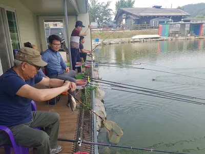 만수위의  거청낚시터 가족낚시터 붕어조황  6월  01