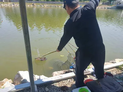 만수위의  거청낚시터 가족낚시터 붕어조황  5월  28