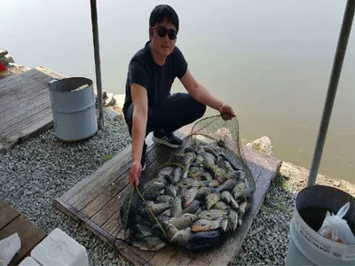 만수위의  거청낚시터 가족낚시터 붕어조황  5월  23