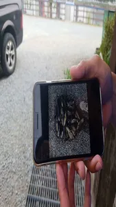 만수위의  거청낚시터 가족낚시터 붕어조황  6월  29