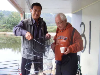 [당진 가교리지] 토종 붕어 조황...