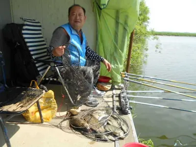 당진"가교리지"현제수위98%유지