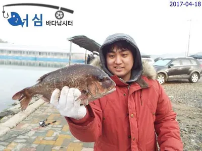 4월18일어심바다낚시터조황