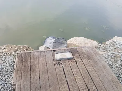 만수위의  거청낚시터 가족낚시터 붕어조황  5월  25