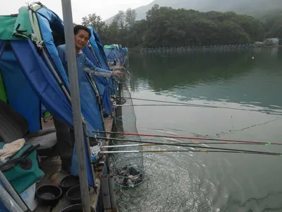 ^^조황소식&수상좌대이벤트^^