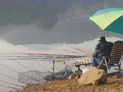 안성죽산장계지