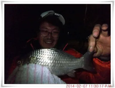 충남 아산 월선낚시터 2월 8일자 조황정보