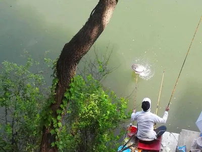 안성죽산장계지