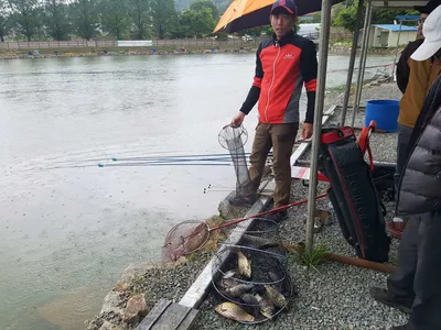 수위변동  없는  낚시터  5월  10일  붕어조황