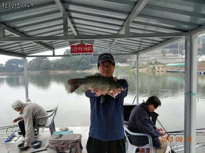 [강화도 황청낚시터] 38.5cm 월척/ 9월28일
