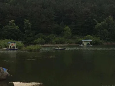 충남공주시 요룡지 행복낚시터 토종붕어 5월 11일 조황정보입니다^^