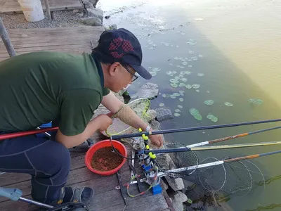 만수위의  거청낚시터 가족낚시터 붕어조황  6월  02