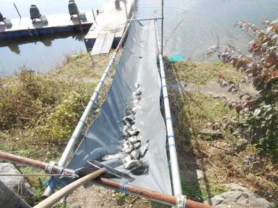 *****조황사진과, 송어루어&플라이낚시개장소식*****