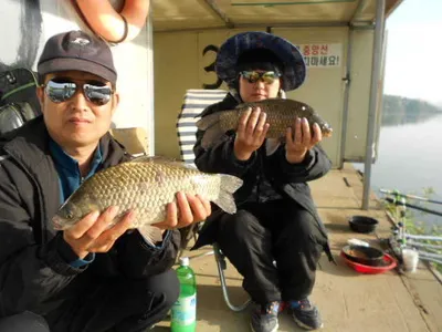 당진"가교리낚시터"지난주조황