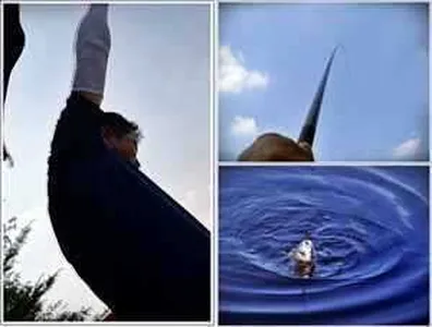 [각평지] 6월 셋째주말 조황정보