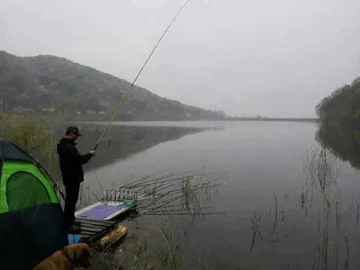안성죽산장계지