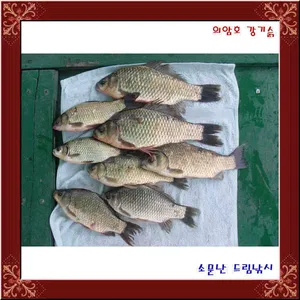 의암호 강기슭 소문난 드림낚시입니다.