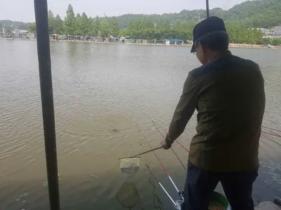 만수위의  거청낚시터 가족낚시터 붕어조황  5월  21