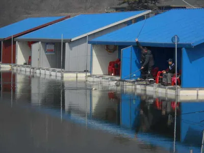 초원낚시터 물낚시 조황입니다^^^