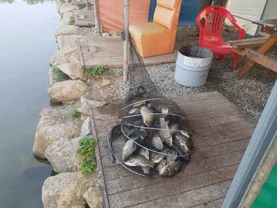 만수위의  거청낚시터 가족낚시터 붕어조황  6월  09