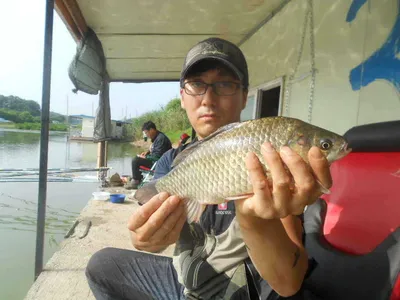 [당진 가교리지 주말 조황정보..]