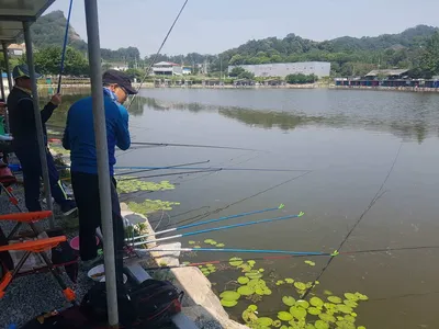 만수위의  거청낚시터 붕어조황  6월  19
