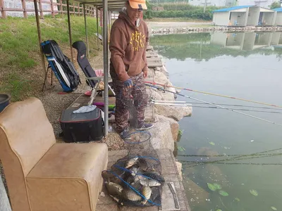 만수위의  거청낚시터 가족낚시터 붕어조황  5월  31