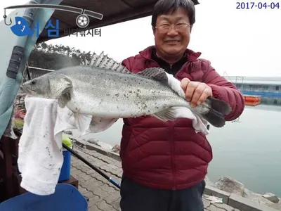 화려한자태(4월4일 어심바다낚시터조황)
