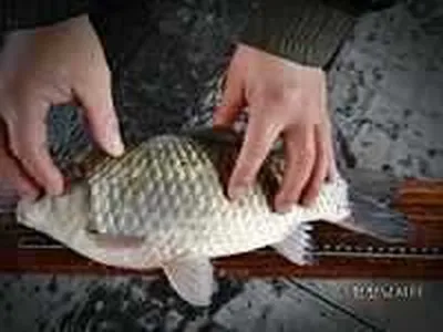 [황청낚시터]4월16일 조황체크