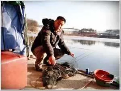 [각평지] 2월 둘째주 중 조황정보