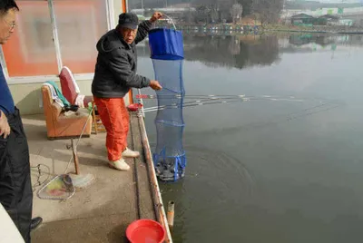 비 갠 후 조황양호