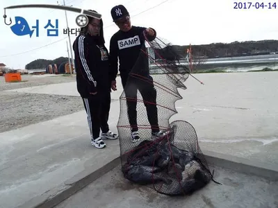 비는내리고(4월14일어심바다낚시터조황)