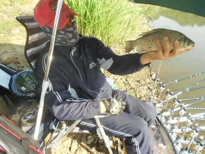 [당진 가교리지 주말 조황정보..]