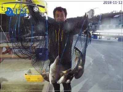 11월12일 어심바다낚시터조황