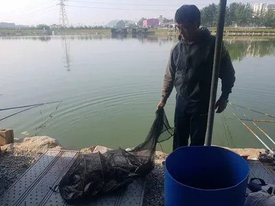 9 월  01 일  거청  붕어조황