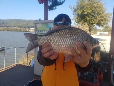 아산 명품월랑낚시터 10월 막주 조황소식입니당~~~^^