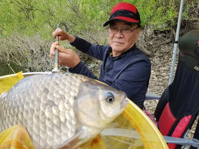 아름다운장계지에서