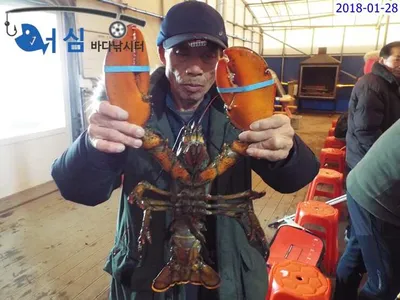 1월28일 어심바다낚시터조황