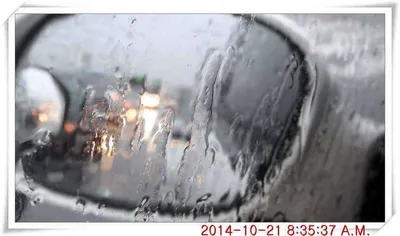 충남 아산 월선낚시터 10월 22일자 조황정보