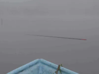 6월 마지막 주말 조황정보