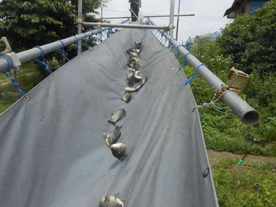 *****실시간 조황사진 올려봅니다*****