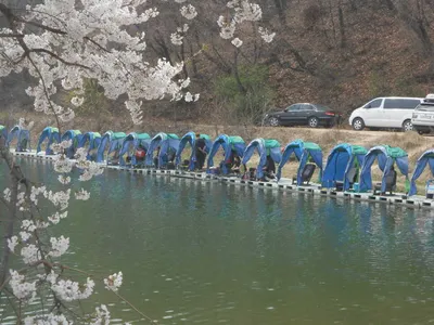 ^^조황소식과개장소식^^