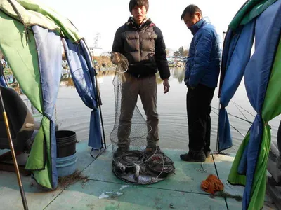 포천 초원낚시터 조황입니다^^