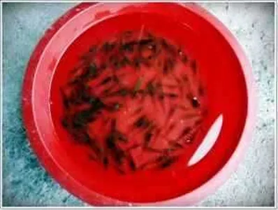 [각평지] 2월 22일 (수) 조황정보