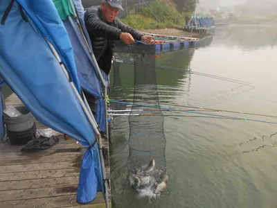 ^^조황소식&수상좌대이벤트^^