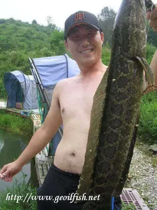 8월 셋째주 조황