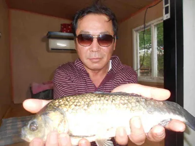 [당진 가교리지 주중 조황화보..]